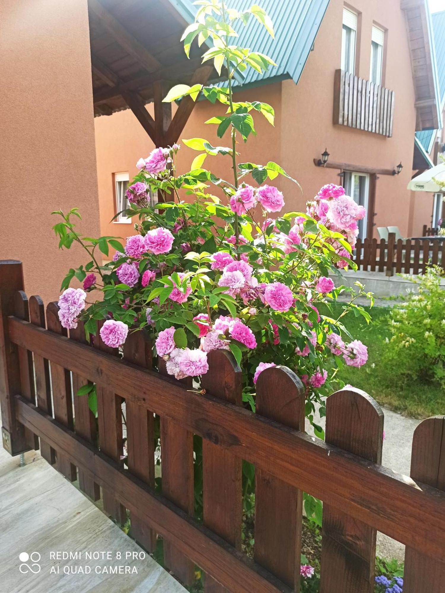קולאסין Holiday Home Ivana מראה חיצוני תמונה