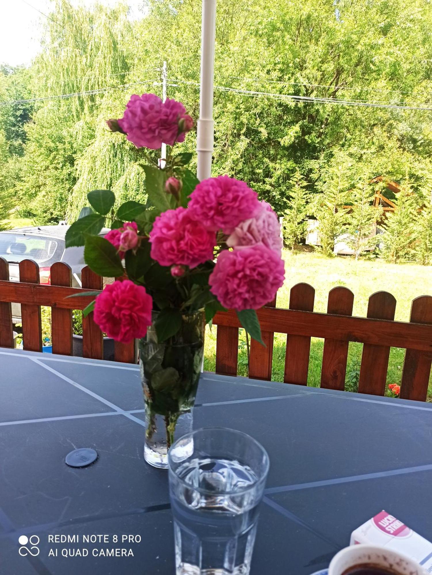 קולאסין Holiday Home Ivana מראה חיצוני תמונה